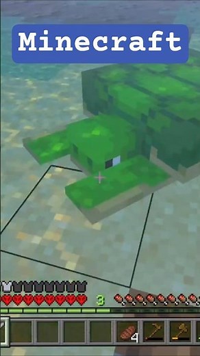 Minecraft Turtles Are Something Else 🐢 (#minecraft #minecraftturtle #nyancat)