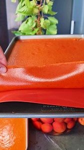 بلش موسم المشمش 🍑☀️ It's APRICOT Season 😍😍 Ingredients 1,5 KGs Ripe Apricots (Sweet & Sour) 1 cup Sugar (200 gms) 1/2 tsp Citric Acid المكونات ١،٥ كغ مشمش حامض حلو ١ كوب سكر (٢٠٠ غم) ١/٢ م ص ملح ليمون #apricot #fruit #leather #fruitleather #apricots #summer #recipe #recipes #yasminnasir #yallanotbokh #qamaraldeen #lavashak #yallayasmin #foodporn #وصفة #ياسمين_ناصر #يلا_نطبخ #يلا_ياسمين #قمر_الدين #مشمش #صيف #فاكهة | Yasmin Nasir