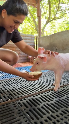 ¿Convertir arroz en chicharrón?