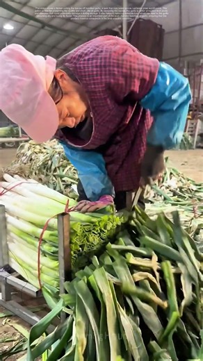 Trimming Leaves: A Crucial Step in Preserving Garlic's Freshness