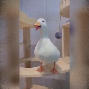 鬼畜搞笑配音