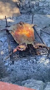 200K views · 5.4K reactions | Hoy día de campo !!!! Y no me toco cocinar  Ustedes en que andan ?? | Ariel Rodriguez Palacios | Facebook