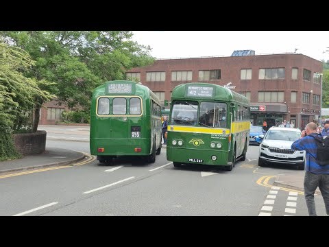Buses at the Dorking Classic Bus Running Day | Sunday 1st June 2025