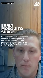 Butte County Mosquito and Vector Control District Assistant Manager Aaron Lumsden said the recent rise in temperatures to 65 degrees or warmer has caused mosquitoes born last year to come out of hibernation. Get more details on our YouTube page or by clicking the 🔗 in our bio! | North Coast News TV