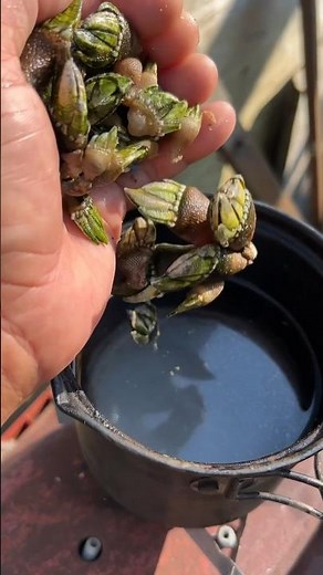 ゲテモノ。謎の食材【カメノテ】大量を使ってラーメンを作る！