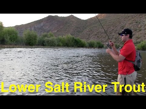 Trout Fishing Phoenix's Lower Salt River