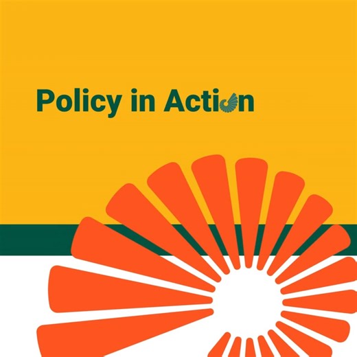 📃Policy in Action: Recent Oireachtas Updates 🔵Early Childhood Ireland monitors the relevant work of the Oireachtas each week, looking at Parliamentary Questions relevant to Early Years and School Age Care. Learn more - https://loom.ly/LF-VK68 #QualityForChildren #EarlyYearsIreland | Early Childhood Ireland