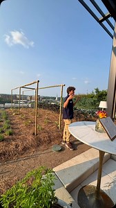 This spring/summer I’m in search for the perfect plants for your home garden! First up looking for those that can survive the heat of summer. That’s why I went to Alabama - it’s hot! This is a look at Audburn University’s Food U rooftop garden with their Horticulture department works with Culinary students to provide in season fruit, vegetables, edible and cut flowers to offer at their restaurants and hotel! #perfectplants #foodu #audburn #alabama #heattolerence #frankieflowers | Frankie Flowers