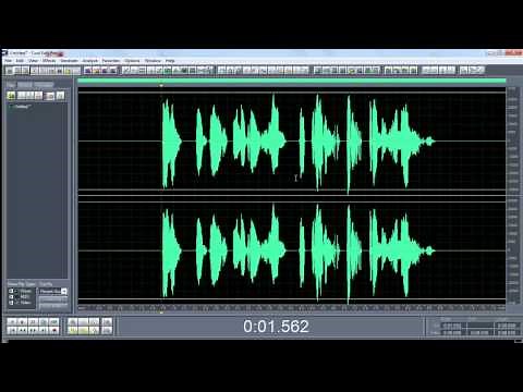 TUTORIAL ESPAÑOL TRATAMIENTO DE VOZ CON COOL EDIT PRO