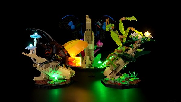 LED Light Kit for Lego Ideas The Insect Collection Building Set, Creative Lighting kit Compatible with Lego 21342 (Lights Only, No Lego Set)