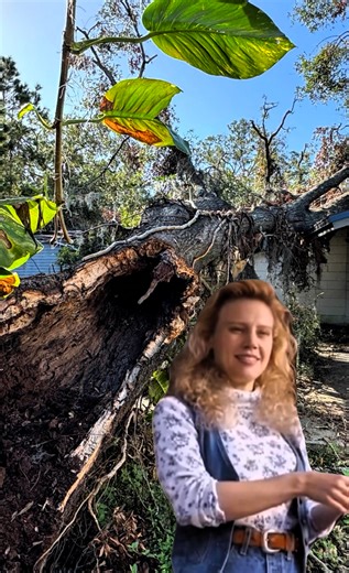 Don’t Let This Be You 😢 Waiting Hours for Emergency Tree Help! 🌳🚨 Nobody wants to be stuck crying over a fallen or dangerous tree while waiting for emergency help! 😩⏳ Protect your home and loved ones by booking a FREE tree health assessment today! 🌿✅ Our experts will spot trouble before it’s too late. Here’s how you can spot a sick or dead tree early: 🔨 Tap the trunk—hollow sounds mean trouble! ⚡ Look for stress cracks and cavities 💧 Check for water rot signs like soft, darkened wood Don’