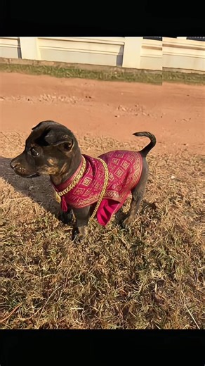 Tutorial ဖန်တီးနည်း Image Edit AI Effect ကိုယ်တိုင်လုပ်ပြီး trend ဖြစ်နေတဲ့ portrait ✨📸 ภาพคนธรรมดา → jadi portrait aesthetic แบบ clean look, ผิวเนียนธรรมชาติ, vibe ดูมั่นใจ แต่ยัง natural มาก ๆ 😳✨ Hypic Image Edit AI effect นี้สามารถ edit รูปคนให้ดูสวยขึ้นแบบ no face change ✅ หน้าเดิม แค่ปรับ lighting, tone, warna ให้ดู soft & clean ပုံတစ်ပုံကို Hypic AI က အလိုအလျောက် ပြင်ပေးပြီး modern style နဲ့ traditional outfit ကို သဘာဝကျကျ ပေါင်းစပ်ထားတယ် ✨ เหมาะมากสำหรับ personal content, lifestyle phot