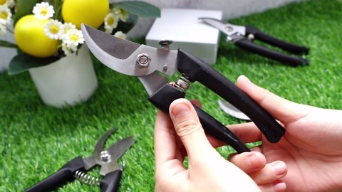 Therwen 12 Pcs Garden Shears Flower Scissors Pruning Shears Floral Garden Clippers Hand Pruners Branch Cutter Gardening Tools for Plants Cutting, Trimming, Fruits Picking (Black,Bypass)