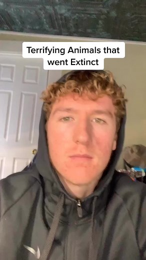 Terrifying Animals that went Extinct, Like for Part2! #animals #earth #science #jurassicpark #evolution #dinosaur #fossils #geology #monster