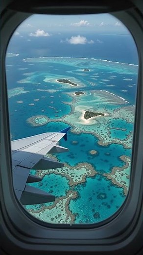 The Great Barrier Reef From an Airplane 🪸✈️ | A View From Above
