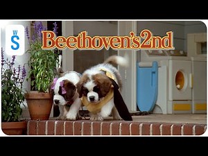 Beethoven's 2nd (1993) | Scene: No, no, no, no!