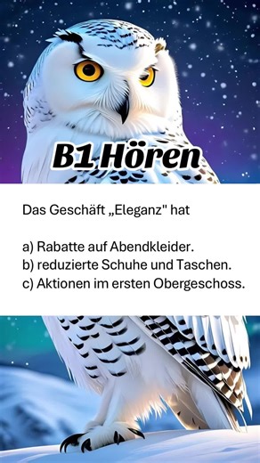 Prüfungsvorbereitung B1 Hören in Deutschland