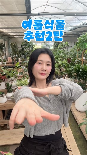 여름과 어울리는 식물?!