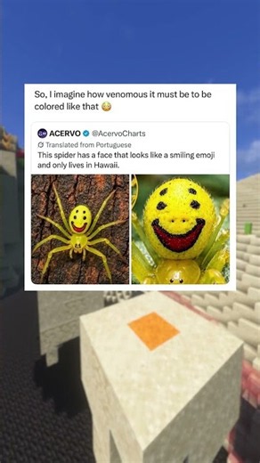 Funny Memes
