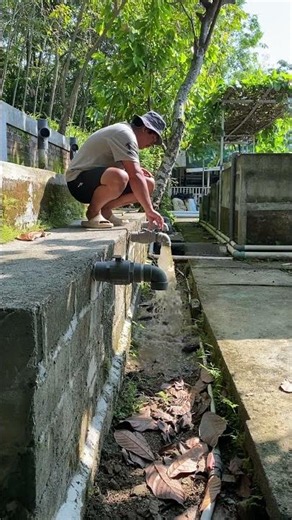 Friday routine: Backwashing fish waste from the pond