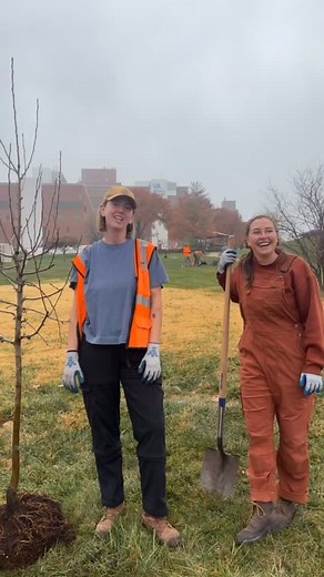 27 reactions · 3 comments | Misty weather can’t stop HTA. Planting x 26 at the VA Medical Center! | Bridging The Gap | Facebook