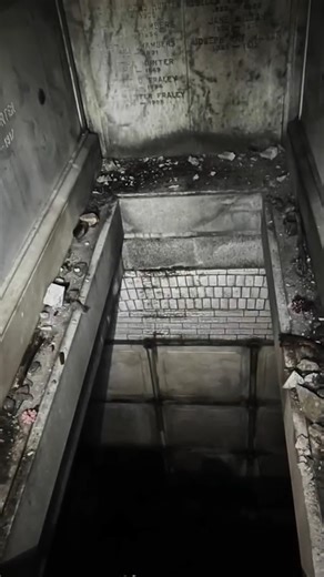 #reels #truecrime #mustwatch | That Chapter