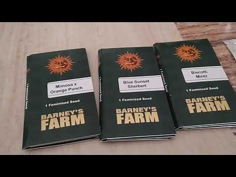 New Seed Shipment. Barney's Farms