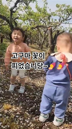 고구마 꽃이 피었습니다~🍠🍠 #37개월#21개월#시골#과수원밭#흥부자 #육아일상