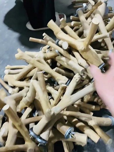 Java wood perch Y shape. #javawoodperch #coffeewoodchewmanufacturer