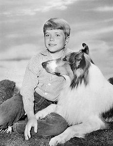 Jon Provost - Alchetron, The Free Social Encyclopedia