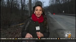 Ohio Toxic Chemical Train Derailment: water is safe to drink but EVERYTHING in it is DEAD!