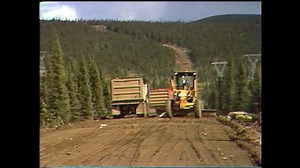 The long and winding road