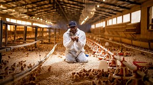 Preview | Human Footprint