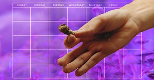 Starting A Microdosing Protocol? Read This First.