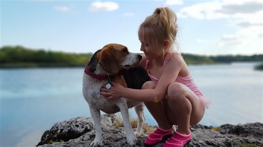 How nicely beagle dogs can play with little girl