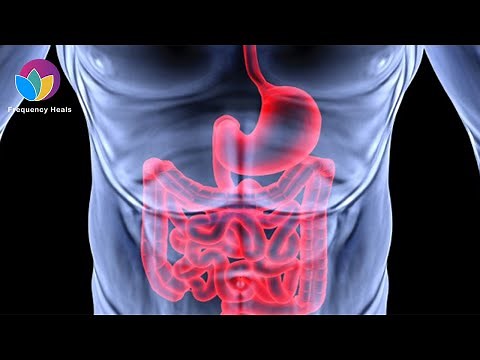 Flatulence Relief | Reduce Gas and Farting & Improve Digestion