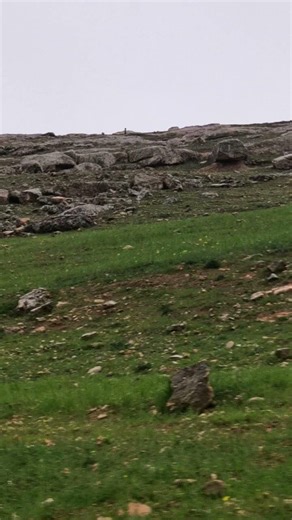 الاردن اجمل بلد