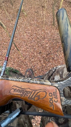 Hang and hunt with the old Mathew’s ! #whitetail #archery #hunting #deer | Jake Outdoorz