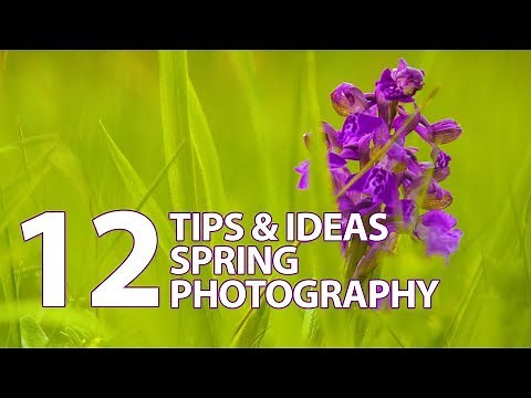 12 Tips and Ideas on How to Photograph Spring Landscapes