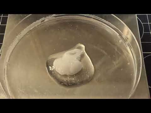 This Nanocellulose Archival Adhesive Mix Makes Paper Tears and Rips Disappear