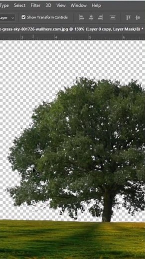 Photoshop online - Hướng dẫn tách nền, xóa nền trong photoshop cs6 nhanh nhất