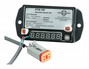 The Indian Larry Twisted Frame Chopper | J&P Custom Motorcycle Builds