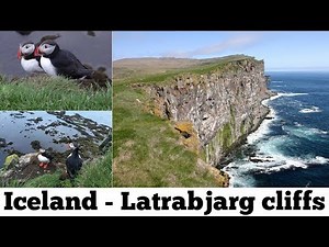 Puffins kingdom Iceland Latrabjarg cliffs flying hunting puffin bird drone aerial video footage