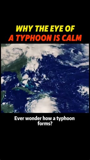 TechBehindThings on Instagram: "🌪️ THE OCEAN'S MONSTER: How a Typhoon is Born! The most powerful storms on Earth—hurricanes, cyclones, and typhoons—all start the same way: as simple thunderstorms over warm ocean water. These names simply refer to the same type of storm occurring in different regions: Typhoon: Occurs in the Northwest Pacific. Hurricane: Occurs in the North Atlantic, Central North Pacific, and Northeast Pacific. Cyclone: Occurs in the South Pacific and Indian Ocean. Here is the f