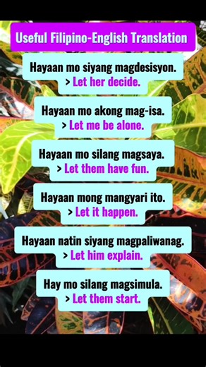 16K views · 317 reactions | Let's learn some Basic Filipino-English phrases that you can use Everyday | Janes Lessons | Facebook