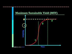 maximum sustainable yield