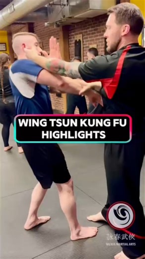 Wing Tsun Highlights #martialarts #kungfu #wingchun #wingtsun #chinesemartialarts #kungfufighting