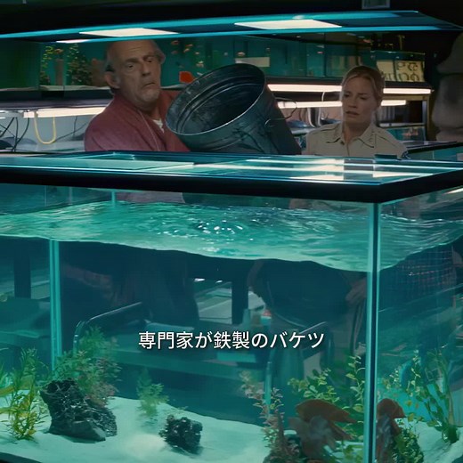 恐ろしいピラニアの現る瞬間