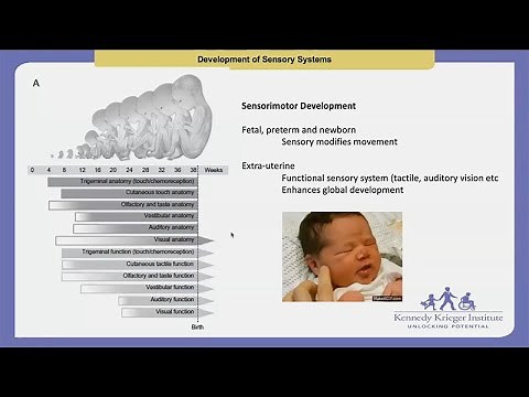 Sensory Systems and Autism with Dr. Constance Smith-Hicks