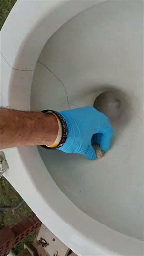 Toilet Cleaned with Acid and Pumice